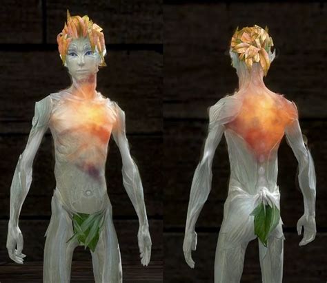 gw2 enrichment|Guild Wars 2 .